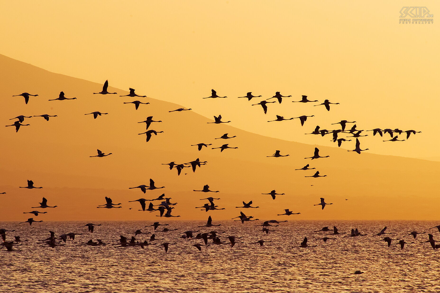 Lake Abiata - Flamingo's bij zonsondergang De zon ging al snel onder en dat leverende enkele mooie beelden op. Stefan Cruysberghs